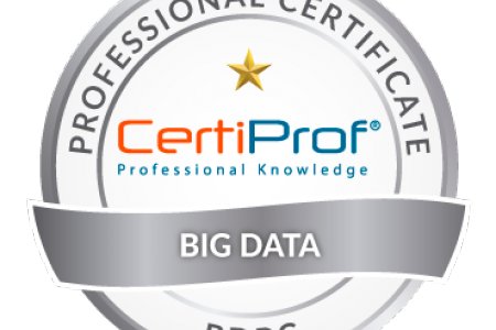 Big Data Professional Certificate Хөтөлбөрийн сургалт
