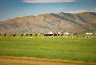 9 Reasons You Need to Visit Mongolia 