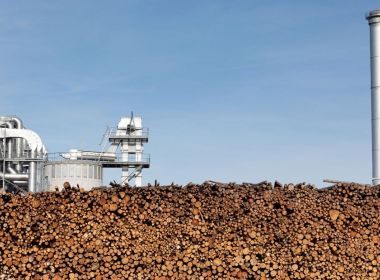 Цаас, цаасан бүтээгдэхүүн үйлдвэрлэлийн нэмэлтүүд