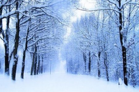 ЦАГ АГААР: Ихэнх нутгаар хүйтний эрч суларна