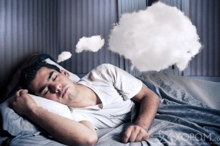 Зүүд нойрны тухай хачирхалтай 8 баримт