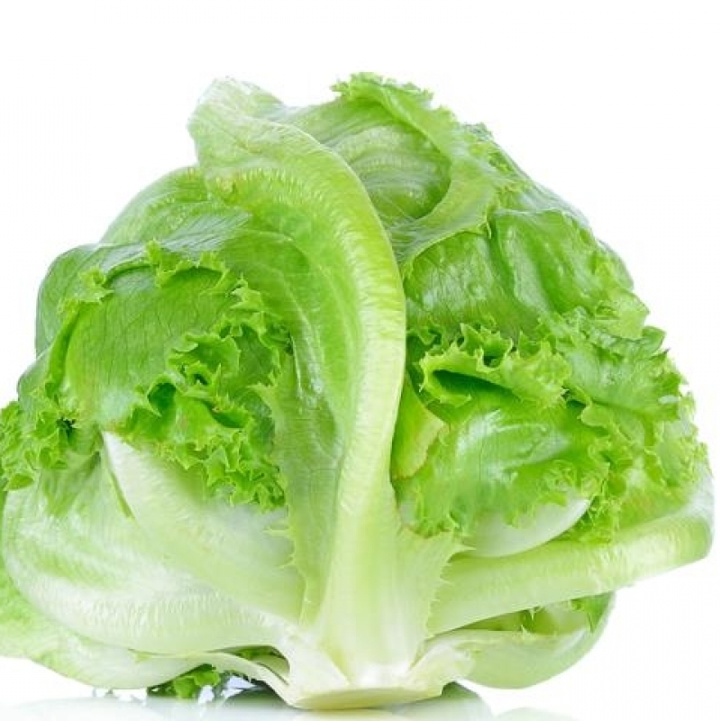 Айсберг байцаа /хайрцаг/ | amtatmall