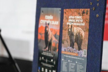 Мазаалай баавгайг таниулах үндэсний хөтөлбөрт 10,000 гаруй хүүхэд, залуус хамрагдлаа