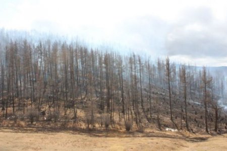 ХУУРАЙШИЛТЫН ЗЭРЭГЛЭЛ ӨНДӨР БАЙГАА ТУЛ ОЙ, ХЭЭРИЙН ТҮЙМРЭЭС СЭРГИЙЛЬЕ