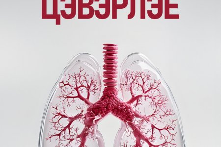 Астма уу? Харшил уу? Ханиалгасан цагаар өвчнөө шинж