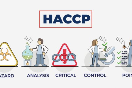 Аюулын дүн шинжилгээ эгзэгтэй цэгийн хяналтын тогтолцоо HACCP