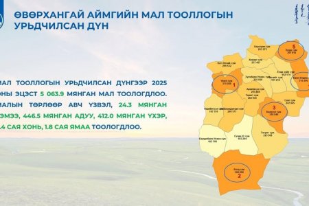 МАЛ ТООЛЛОГЫН УРЬДЧИЛСАН ДҮН ГАРЛАА.