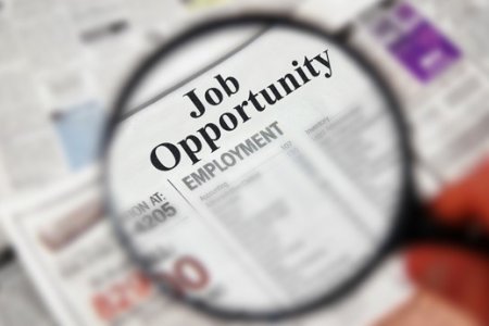 EMPLOYMENT OPPORTUNITY - Communications and Fundraising Officer 