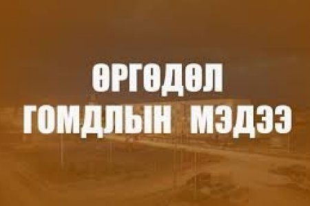 ИРГЭДЭЭС ТӨРИЙН ЗАХИРГААНЫ ТӨВ БАЙГУУЛЛАГА, АЛБАН ТУШААЛТАНД ХАНДАЖ  ИРҮҮЛСЭН ӨРГӨДӨЛ, ГОМДОЛ