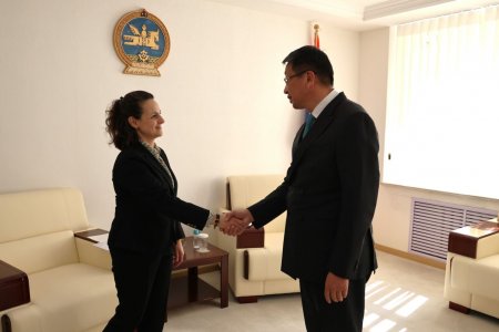 ИЗРАИЛ УЛСТАЙ ХӨДӨӨ АЖ АХУЙН ЧИГЛЭЛЭЭР ХАМТАРСАН ХӨТӨЛБӨР ХЭРЭГЖҮҮЛНЭ
