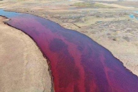 ОХУ-ын Амбарная голд асгарсан 11 мянган тонн дизель түлшийг цэвэрлэжээ