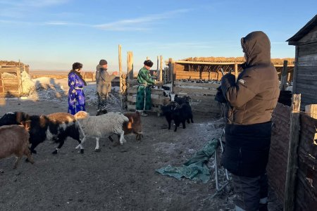 МАЛ, ТЭЖЭЭВЭР АМЬТАД, ХАШАА ХУДГИЙН  2025 ОНЫ ТООЛЛОГО ЯВАГДАЖ БАЙНА.