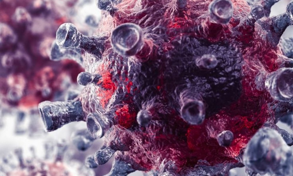 Томуугийн дэгдэлтийн үед Ротавирусын халдвараас хүүхдээ хэрхэн хамгаалах вэ?