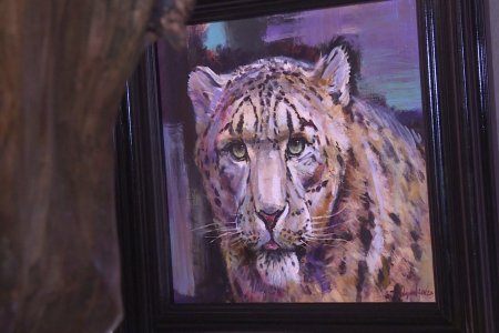 Цоохор ирвэсийг хамгаалахад олон нийтийг уриалах зорилготой “Ирвэсийн Эх Нутагт” үзэсгэлэн дэлгэгдлээ.