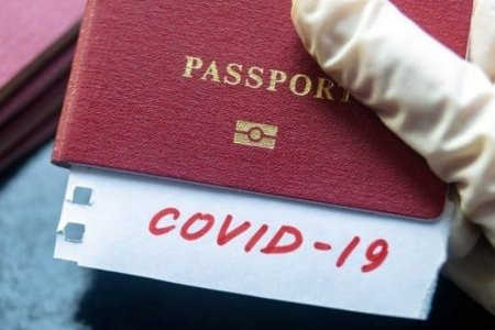 Швед улс энэ зунаас вакцины паспорт олгохоор төлөвлөж байна