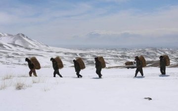 Улсын хэмжээнд 1308 байгаль хамгаалагч ажиллаж байна