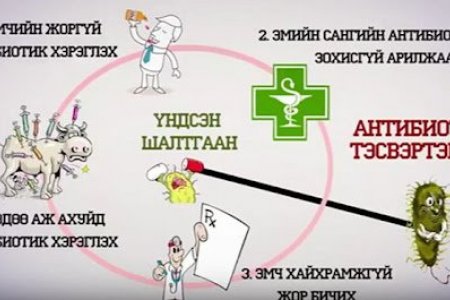 Бичил биетний тэсвэржилтээс сэргийлье