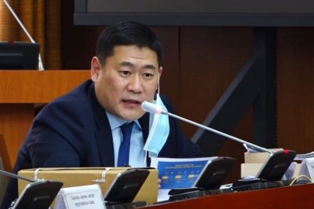 Л.Оюун-Эрдэнэ: Вакцинжуулалтыг төлбөртэй болгоно