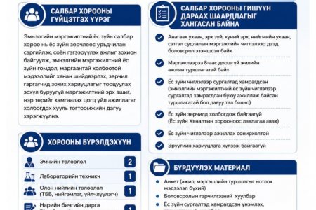 Эмнэлгийн мэргэжилтний ёс зүйн салбар хорооны гишүүдийн нээлттэй сонгон шалгаруулалтыг зарлаж байна. 