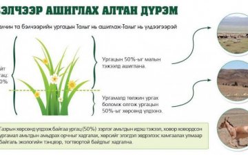 Хэт ашиглалт – бэлчээрээ цөл болгох доройтлын цэгт бид хэр ойр ирээд байна вэ?