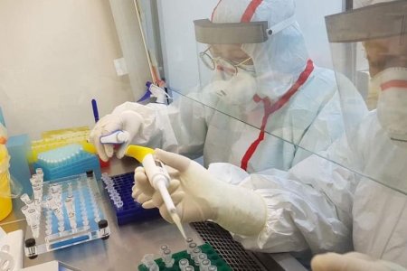 Өнгөрсөн 24 цагт 1357 хүнээс халдвар илэрч, 8 хүн нас баржээ