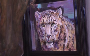 Цоохор ирвэсийг хамгаалахад олон нийтийг уриалах зорилготой “Ирвэсийн Эх Нутагт” үзэсгэлэн дэлгэгдлээ.