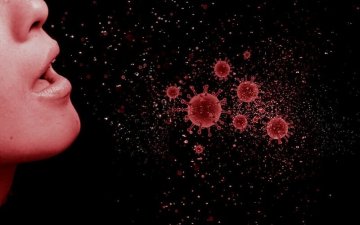 Насанд хүрсэн хүний шүлсэнд дунджаар 700 төрлийн нян бактер байдаг