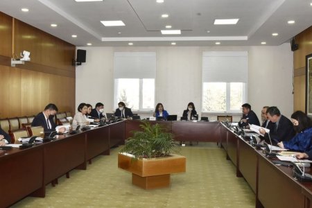 Хилийн чанадад байгаа Монгол Улсын иргэдэд туслах санд хөрөнгө хуваарилахаар хуульд тусгав