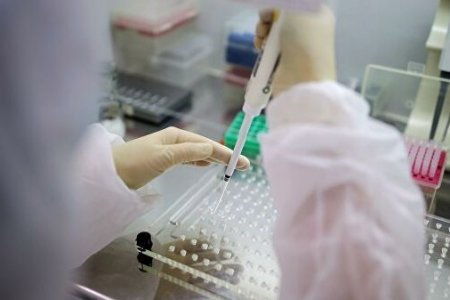 Францын иргэнтэй ойр байсан 207 хүний шинжилгээний хариу сөрөг гарчээ