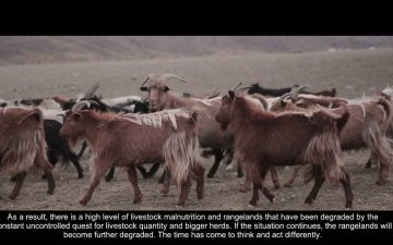 Resilience and PUG based rangeland management (with Eng subtitle)