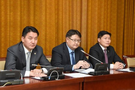 Хууль зүйн байнгын хороо Ерөнхийлөгчийн хоригийг хүлээж авсангүй