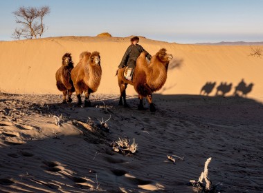 Disvover Erdenenzuu and South Gobi tour ( 8 days)