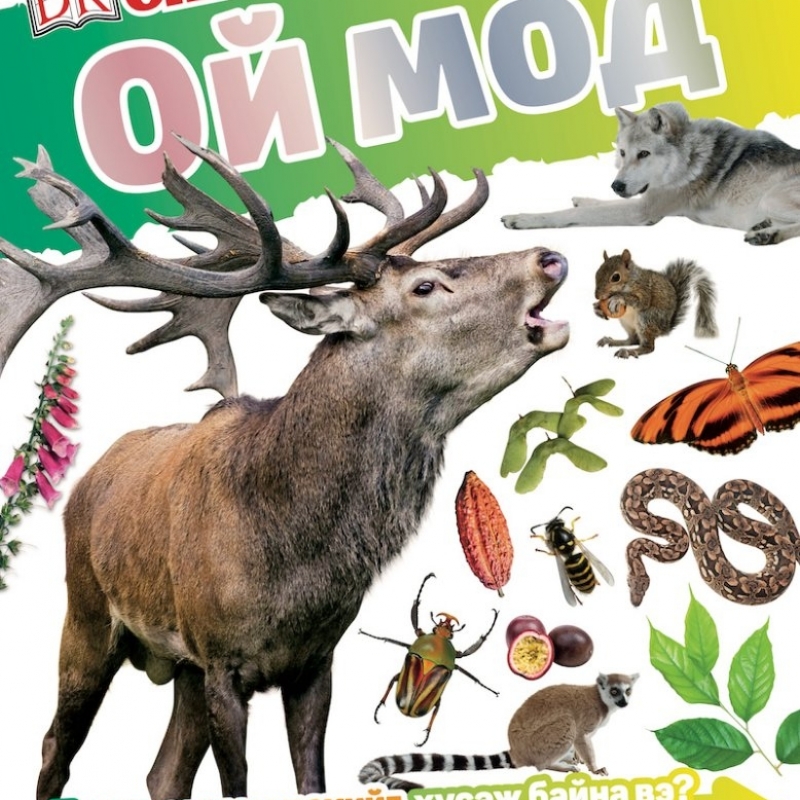 Ой мод: Та юу олж мэдэхийг хүсэж байна вэ?