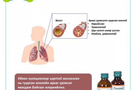 Тамхи татдаг бол жилд ядаж 1 удаа уушгиа цэвэрлэ