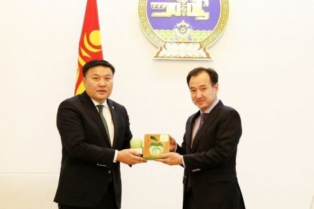 БОАЖ-ын сайд Н.Цэрэнбатыг “Дэлхийн ногоон элч”-ээр шалгарууллаа