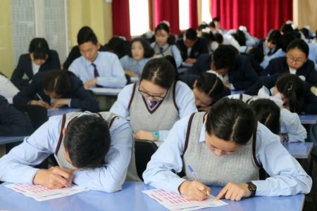 Ерөнхий боловсролын сургуулийн нийгмийн ажилтнуудад хандан зөвлөмж гаргалаа