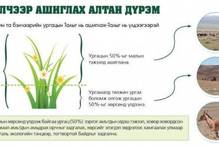 Хэт ашиглалт – бэлчээрээ цөл болгох доройтлын цэгт бид хэр ойр ирээд байна вэ?