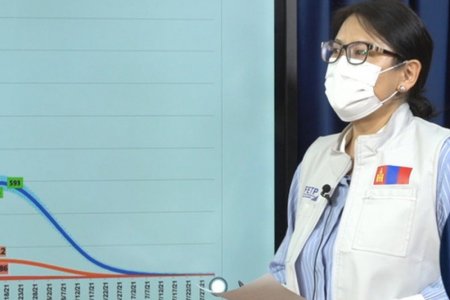 Ж.Байгалмаа: Хөл хорионы үргэлжлэх хугацаа урт байх тусам халдварын тархалтыг бууруулах ач холбогдолтой