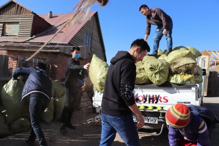 Оюутнууд 250 гаруй шуудай аргал түүж, сайн үйлсийн аянд нэгдлээ