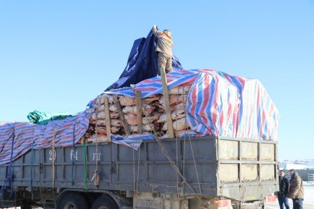 ШӨХТГ-аас МАХНЫ ҮНЭ ӨССӨН шалтгааныг нэрлэлээ