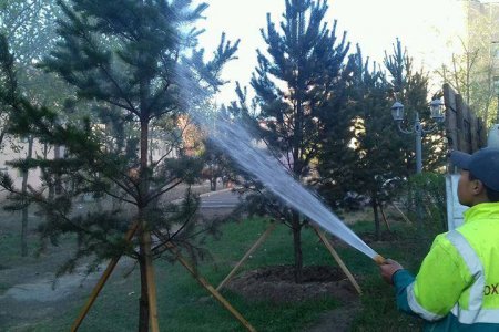 Шилмүүст моддын титэм угаах ажил хийгдэж байна