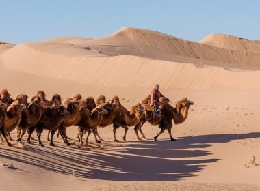 Best tour of Gobi desert and Central Mongolia (14 Days)