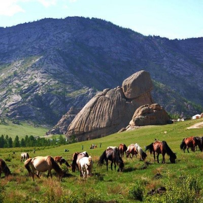 Gorkhi-Terelj National Park 