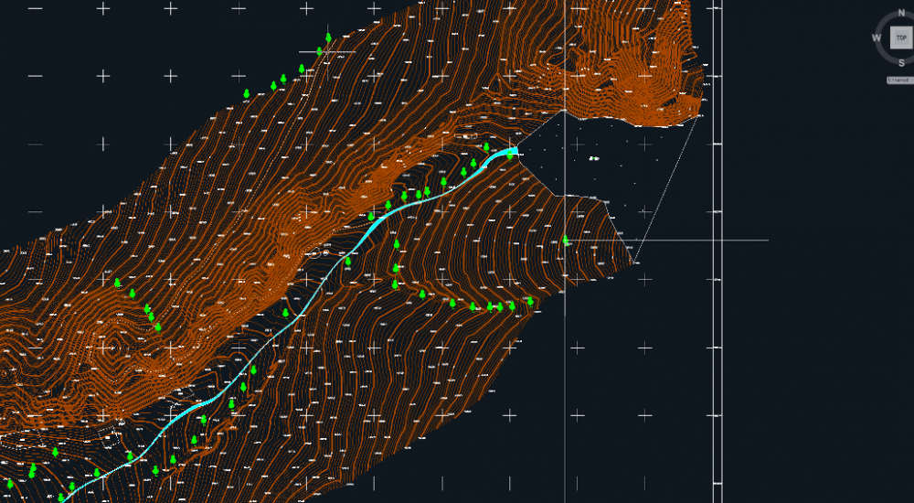 Topographic map