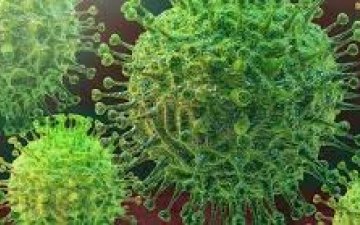 Их Британийн 