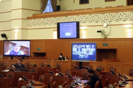 Татварын алданги, торгуулиас чөлөөлөх хуулийн төслийг хэлэлцэхийг дэмжлээ