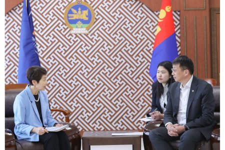 ЁС ЗҮЙН ЧИГЛЭЛЭЭР ЯПОН УЛСЫН ПРОФЕССОРУУДТАЙ ХАМТАРЧ АЖИЛЛАНА