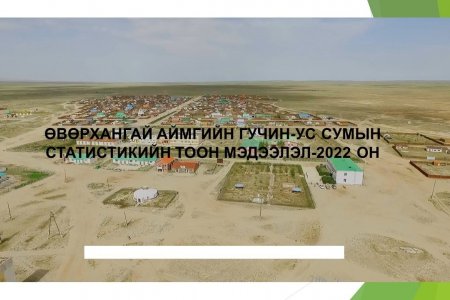 2022 ОНЫ  СТАТИСТИК МЭДЭЭЛЭЛ  (11 дүгээр сарын байдлаар)