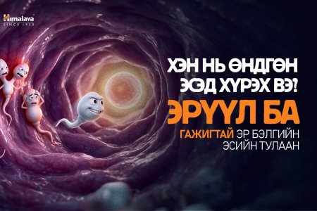 Эр бэлгийн эсийн “ГАЖИГ” гэж юу вэ? 