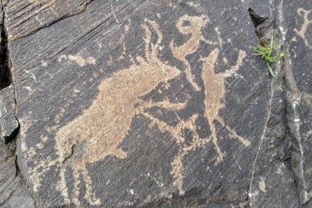 Petroglyphs at Nukhen Utug